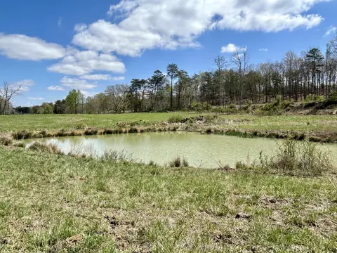 View/Area - 428 Dick Wilson Rd, Strunk, KY 42649 photo 5 of 6