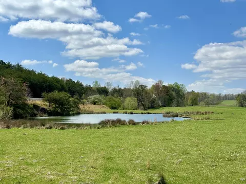 View/Area - 428 Dick Wilson Rd, Strunk, KY 42649 photo 1 of 6