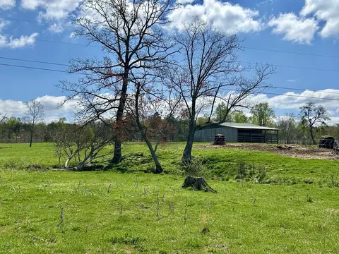 Exterior - 428 Dick Wilson Rd, Strunk, KY 42649 photo 4 of 8