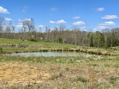 View/Area - 428 Dick Wilson Rd, Strunk, KY 42649 photo 6 of 6