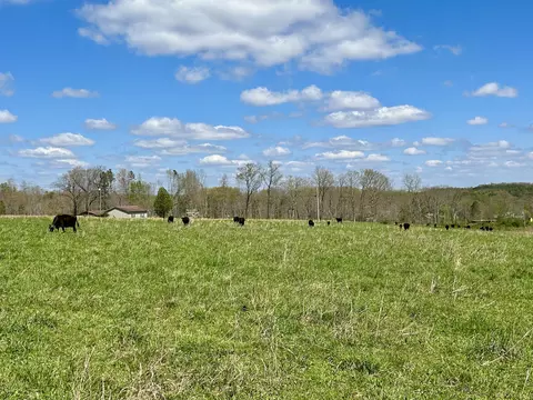 Other - 428 Dick Wilson Rd, Strunk, KY 42649 photo 6 of 6