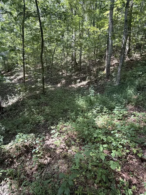0 S Fork Rd, Stanton, KY 40380 photo 15