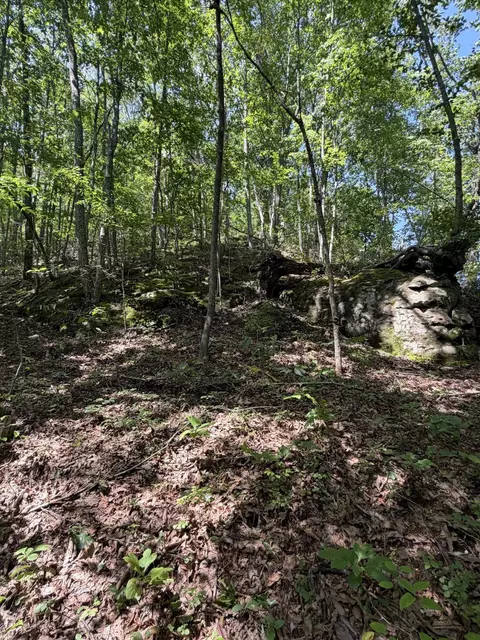 0 S Fork Rd, Stanton, KY 40380 photo 19