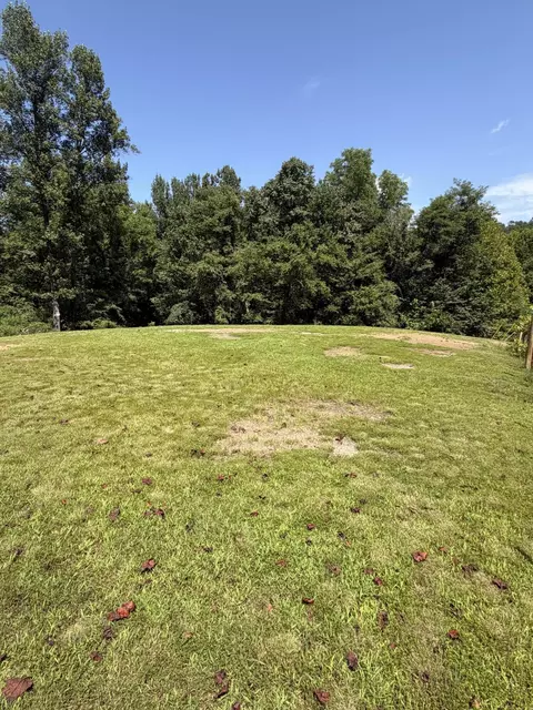 0 S Fork Rd, Stanton, KY 40380 photo 10
