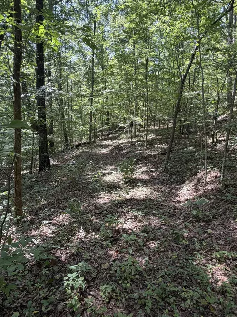 0 S Fork Rd, Stanton, KY 40380 photo 14
