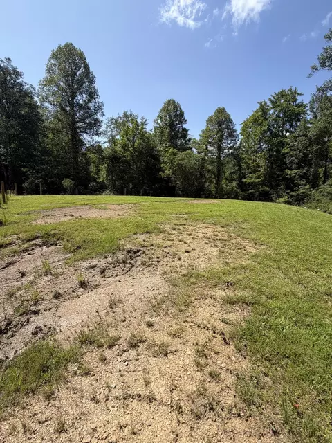 0 S Fork Rd, Stanton, KY 40380 photo 11