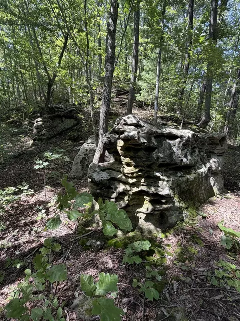 0 S Fork Rd, Stanton, KY 40380 photo 18