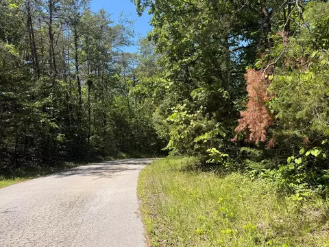 1-28 Pine Tree, Nancy, KY 42544 photo 5