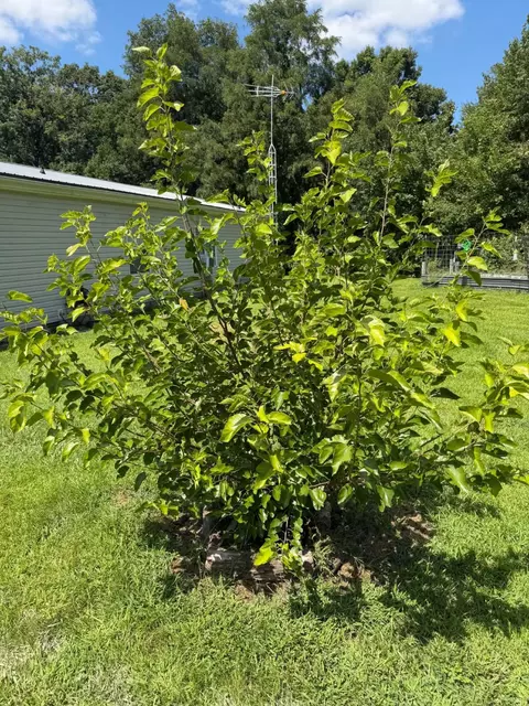 Other - 180 Pacific Ave, Morehead, KY 40351 photo 21 of 21