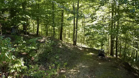 Exterior - 239 Howards Creek Rd, Sandy Hook, KY 41171 photo 8 of 12