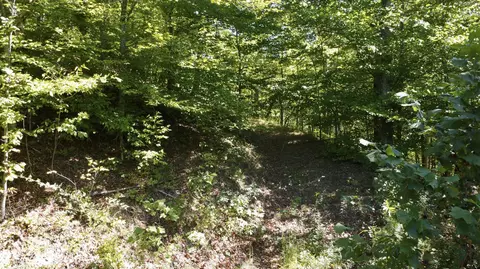 Exterior - 239 Howards Creek Rd, Sandy Hook, KY 41171 photo 9 of 12