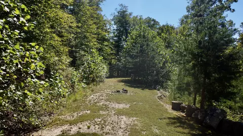 Exterior - 239 Howards Creek Rd, Sandy Hook, KY 41171 photo 4 of 12