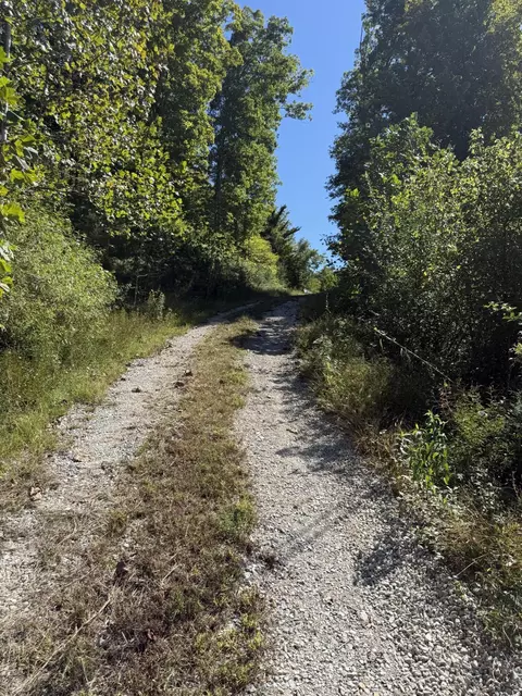 Other - 239 Howards Creek Rd, Sandy Hook, KY 41171 photo 6 of 13
