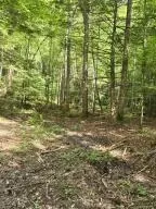 lot79 Fixer Rd, Zoe, KY 41397