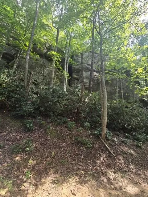 lot87 Fixer Rd, Zoe, KY 41397