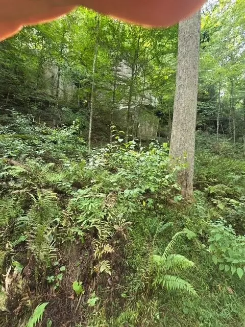 lot62 Fixer Rd, Zoe, KY 41397