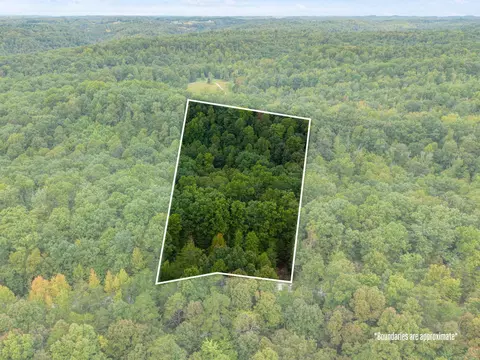 lot29 Angel Falls Rd, Beattyville, KY 41311