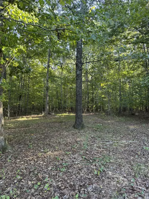 0003 Decatur Rd, Russell Springs, KY 42642