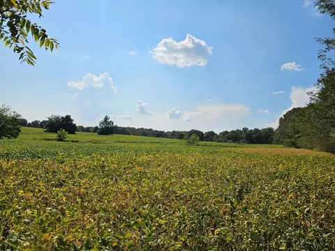 0 Just-a-mere Rd, Marion, KY 42064