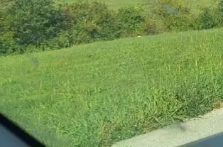 91 Grandview Cir, Flemingsburg, KY 41041