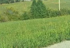 101 Grandview Cir, Flemingsburg, KY 41041