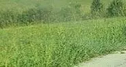 111 Grandview Cir, Flemingsburg, KY 41041
