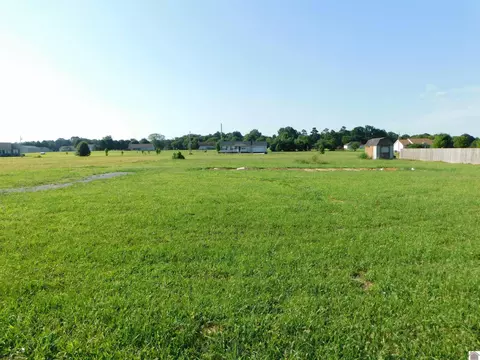 1362 W Us Highway 60 W #LOT 8, Ledbetter, KY 42058