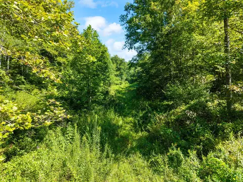 1222 Caney Fork Rd, Beattyville, KY 41311