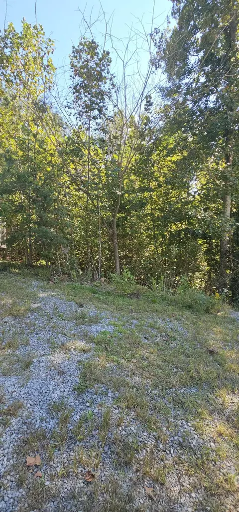 Exterior - 362 Dixie Pine Dr, Burnside, KY 42519 photo 3 of 7