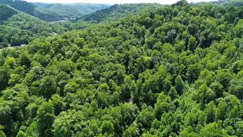 Other - 7292 Hode Rd, Warfield, KY 41267 photo 6 of 27