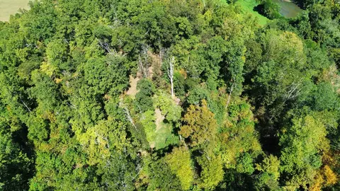 View/Area - 7292 Hode Rd, Warfield, KY 41267 photo 14 of 28