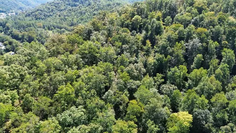 View/Area - 7292 Hode Rd, Warfield, KY 41267 photo 10 of 28