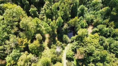 View/Area - 7292 Hode Rd, Warfield, KY 41267 photo 12 of 28