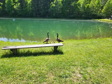 Other - 213 Ky-1232 Hwy, Gray, KY 40734 photo 7 of 63