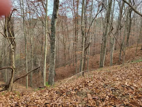 Other - 213 Ky-1232 Hwy, Gray, KY 40734 photo 5 of 63