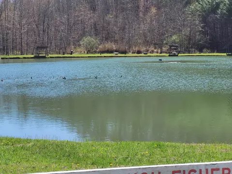 View/Area - 213 Ky-1232 Hwy, Gray, KY 40734 photo 17 of 25