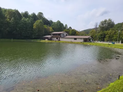 View/Area - 213 Ky-1232 Hwy, Gray, KY 40734 photo 13 of 25