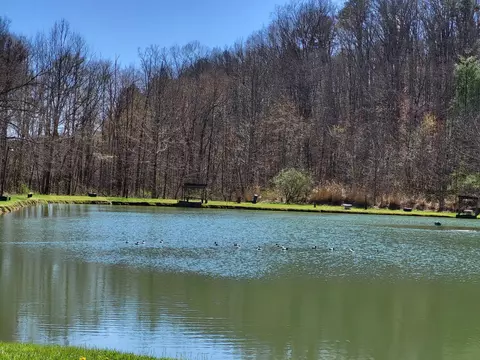 View/Area - 213 Ky-1232 Hwy, Gray, KY 40734 photo 18 of 25