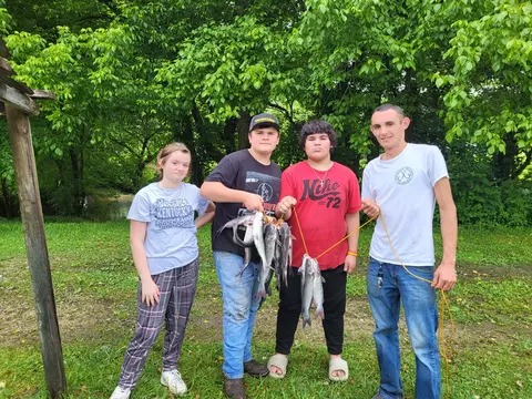 Other - 213 Ky-1232 Hwy, Gray, KY 40734 photo 8 of 63