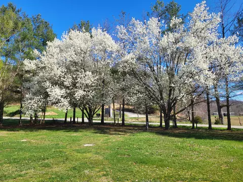 Other - 213 Ky-1232 Hwy, Gray, KY 40734 photo 6 of 63