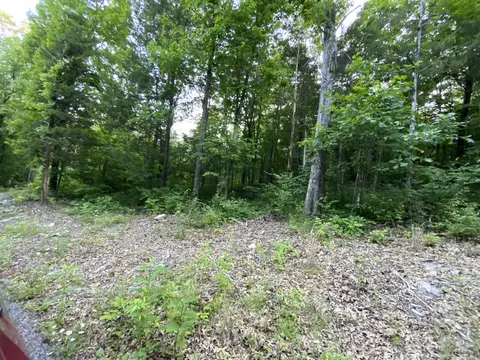 0 Miller Dr, Burnside, KY 42519 photo 2