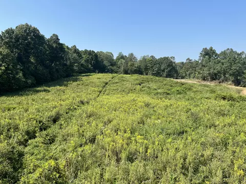 0 Princeton Olney Rd, Princeton, KY 42445