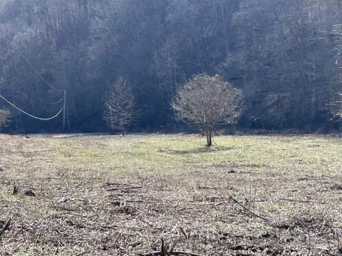 3831 Crane Creek Rd, Manchester, KY 40962