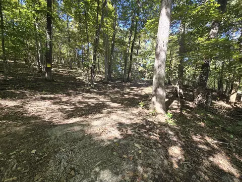 3774 Needmore Rd, Princeton, KY 42445