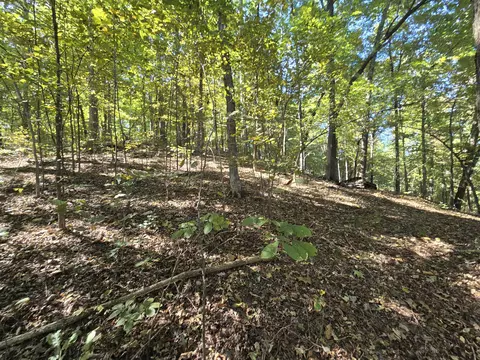 3774 Needmore Rd, Princeton, KY 42445