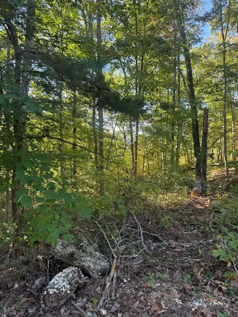 0 Ivy Ln, Wellington, KY 40387