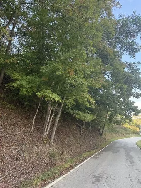 0000 Co Rd 2027, Campton, KY 41301 photo 5
