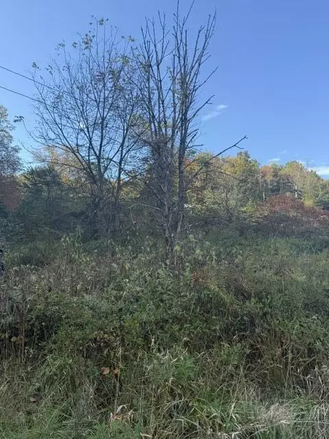 0000 Co Rd 2027, Campton, KY 41301 photo 3