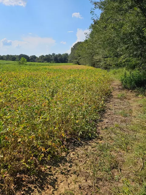 000 Sidney Mcneeley Rd, Marion, KY 42064