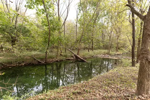View/Area - 139 Waterside Dr, Georgetown, KY 40324 photo 1 of 2